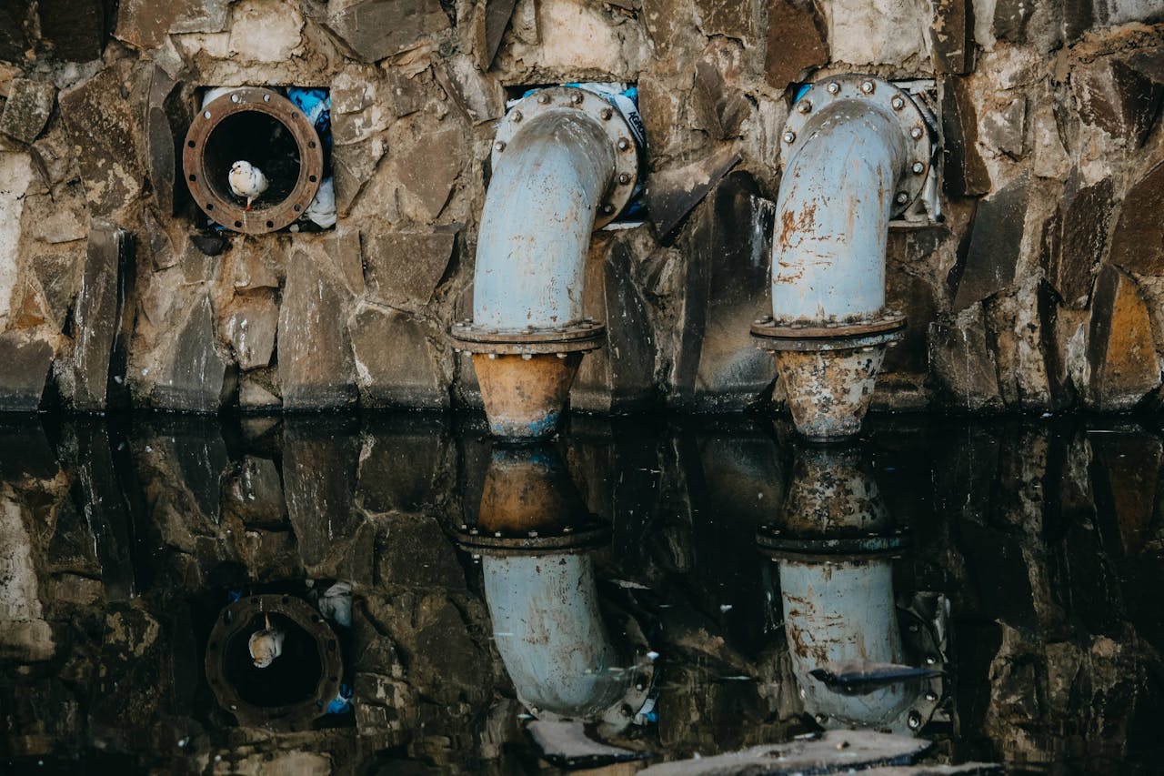 Pexels Photo 18110814